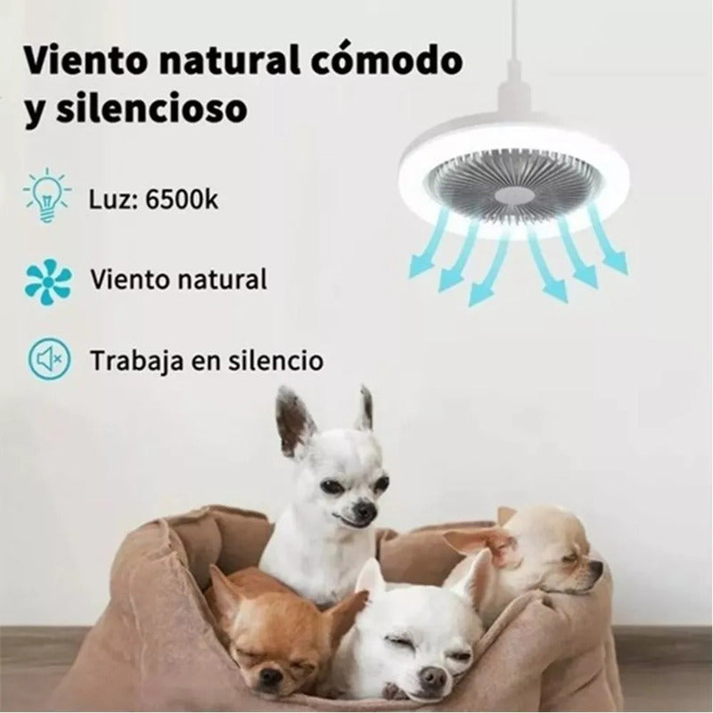 Ventilador De Techo Con Lampara Led Con Control Remoto 26 Cm Blanco Rosa Plástico