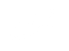 Shiva Chile